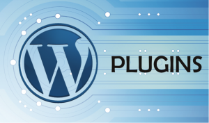 Plugins for WordPress: good, nice and cheap